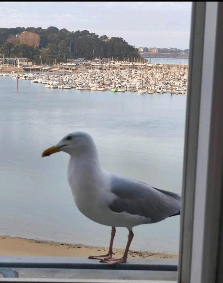 Nid De Corsaire, Vue Mer & Acces Plage Saint-Malo Exteriör bild